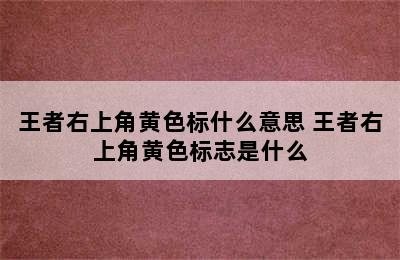 王者右上角黄色标什么意思 王者右上角黄色标志是什么